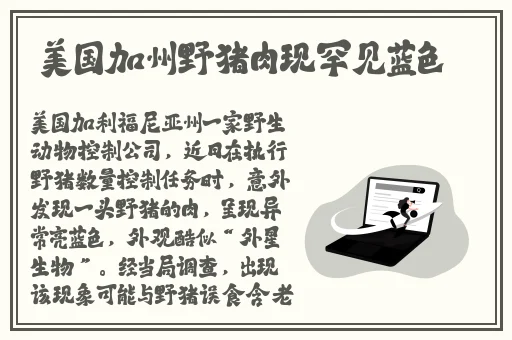 巨无霸水蜜桃4439